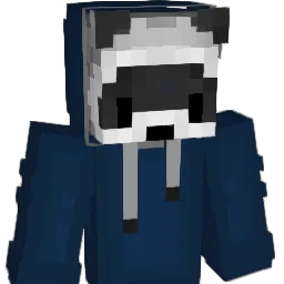 MrMejt
