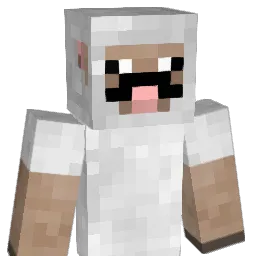 MrMoist69 Minecraft avatar bust