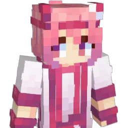 MrNetxis