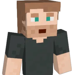 MrNobody2025 Minecraft avatar bust
