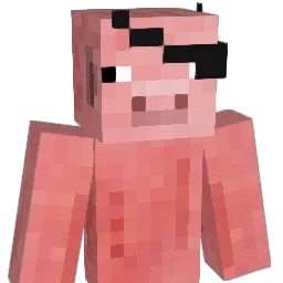 MrPaprot_1 Minecraft avatar bust