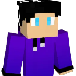 MrPlayerMan112 Minecraft avatar bust