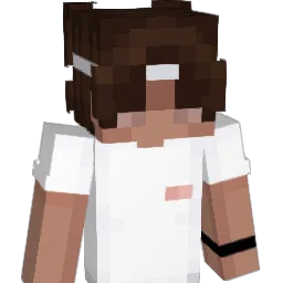 MrXJ4n Minecraft avatar bust