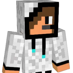Mr_Hoodie Minecraft avatar bust