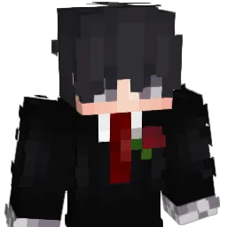 Mr_Invi