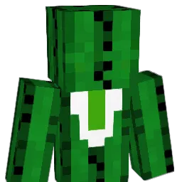 Mr_Mr_Cactus Minecraft avatar bust