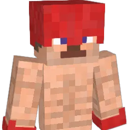 Mr_Namerrrr Minecraft avatar bust
