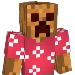 Mr_Noelan Minecraft avatar bust