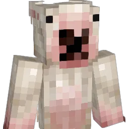 Mr_Stupid69 Minecraft avatar bust