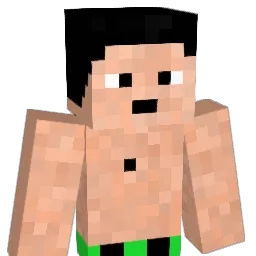 Mr_Wash Minecraft avatar bust