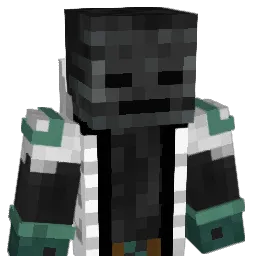 Mr_Wither_27 Minecraft avatar bust
