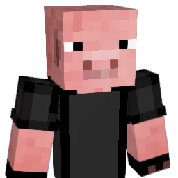 Mr_pig01