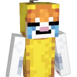 Mr_t0es Minecraft avatar bust