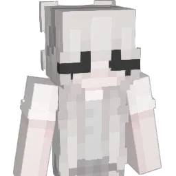 Mr_zixuan Minecraft avatar bust