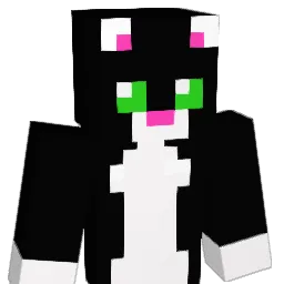 Mrcupcake9 Minecraft avatar bust