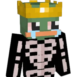 Mrfintrex's Minecraft skin