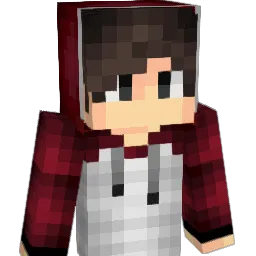 MriiTry_ Minecraft avatar bust