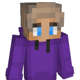 Mrinfiniteblock Minecraft avatar bust