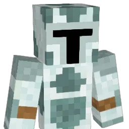 Mrpineapplr42 Minecraft avatar bust