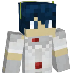 Mrrgl11 Minecraft avatar bust