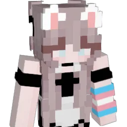 MsMaid