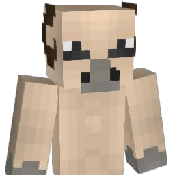 MulaB_ Minecraft avatar bust