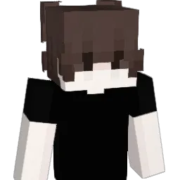 Mwle Minecraft avatar bust