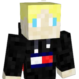 Mxi_W Minecraft avatar bust