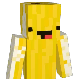 Myownplace99 Minecraft avatar bust