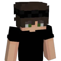 N06H