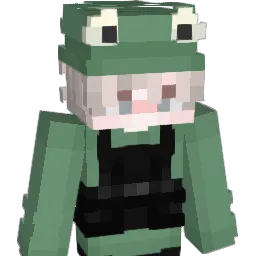 N0TS0C00L Minecraft avatar bust