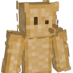 N0T_CC Minecraft avatar bust