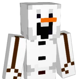 N0t71m07hy Minecraft avatar bust