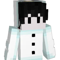 N0tVex_ Minecraft avatar bust