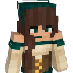 N0t_Qual1f13d Minecraft avatar bust