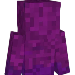 N0tez4 Minecraft avatar bust