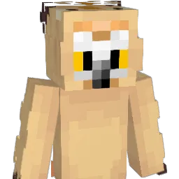 N19ht0w1 Minecraft avatar bust