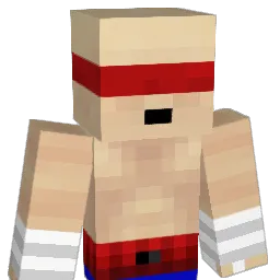 N1GGR259 Minecraft avatar bust