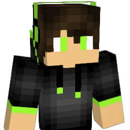 N1NJA102301 Minecraft avatar bust