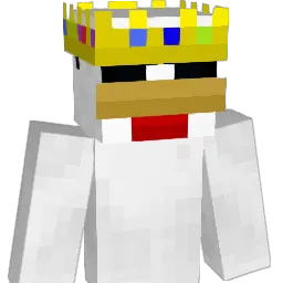 N1XI6 Minecraft avatar bust