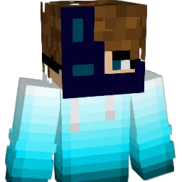 N1ZeeH's Minecraft skin