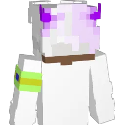 N1ghtzx Minecraft avatar bust