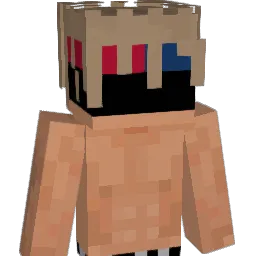 N1khi Minecraft avatar bust