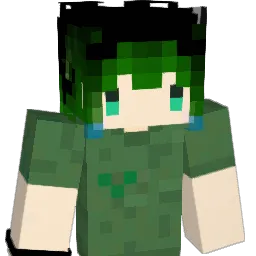 N1koch1N Minecraft avatar bust