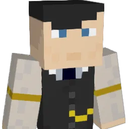 N1nj418 Minecraft avatar bust