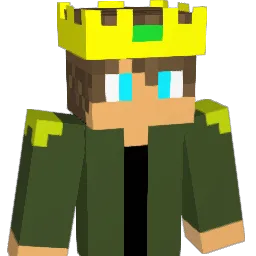 N1nja58 Minecraft avatar bust