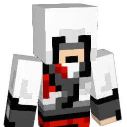 N1qqer's Minecraft skin
