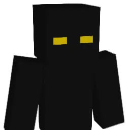 N1un Minecraft avatar bust