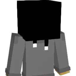 N1xSusp Minecraft avatar bust