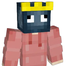 N1z_ Minecraft avatar bust